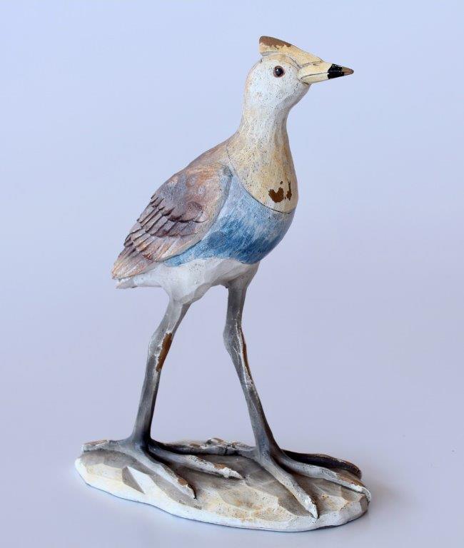 Large Water Fowl
